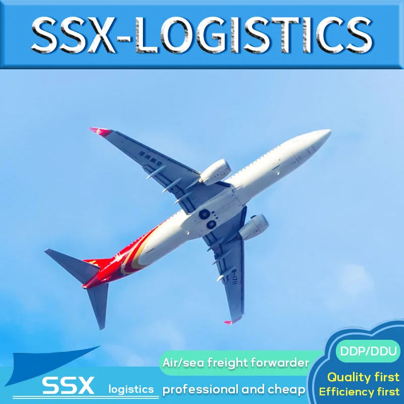 Top Rated Professional Agent Over 13 Years Experiences  Cheapest Shipping Agent Door to Door From China to Senegal, South Africa