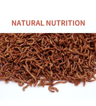 Wholesale Freeze Dried Bloodworms Fish Feed Freeze Dried Food