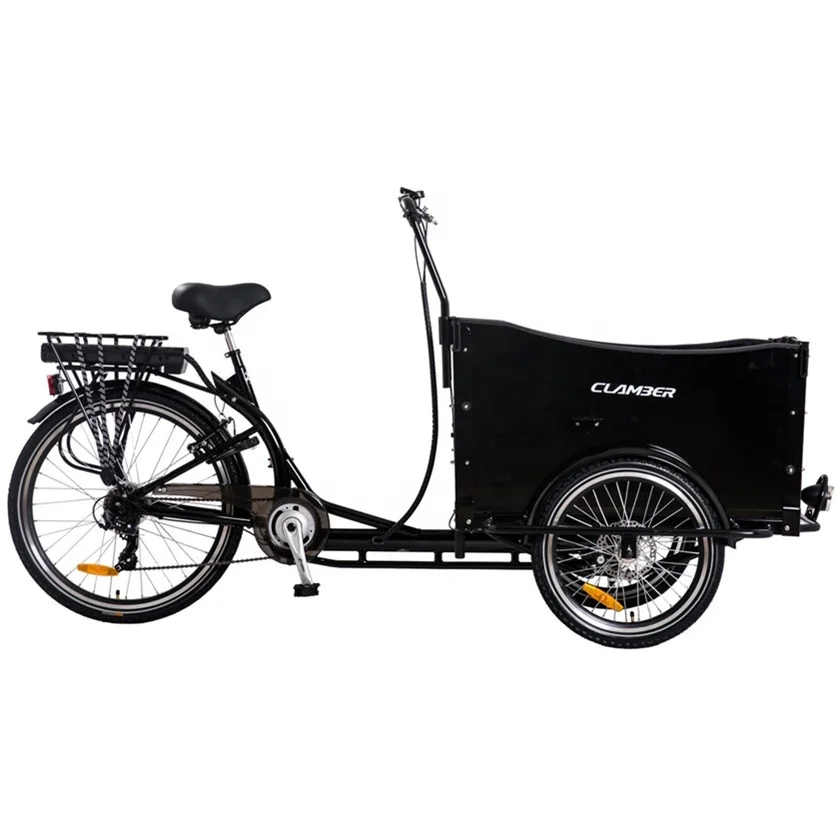 Cheap Price 250W 36V Cargo E Bike 3 Wheel Family Delivery Electric Cargo Tricycles