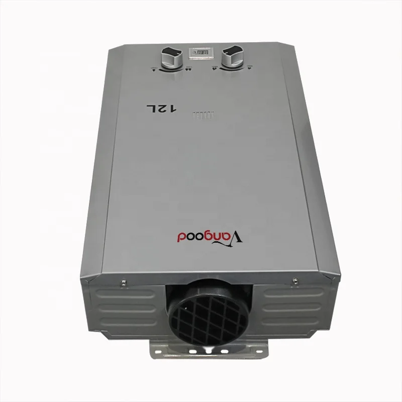 Wholesale Price Domestic Instant Propane Tankless Flue Type Gas Water Heater