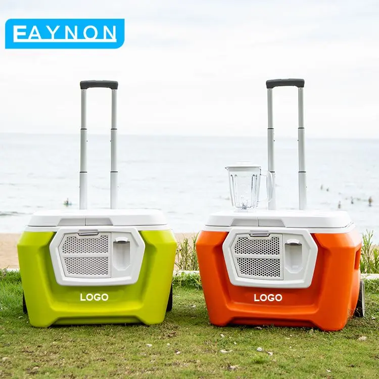 Eaynon Fish Cooler Cold Box Large Igloo Coolers Portable Outdoor Picnic 52L Coolerbox