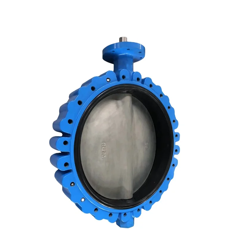 Hot Sale SS304 Manual Centerline Ductile Iron Pressure Reducing DN 500 Lug Type Butterfly Valve with Competitive Price
