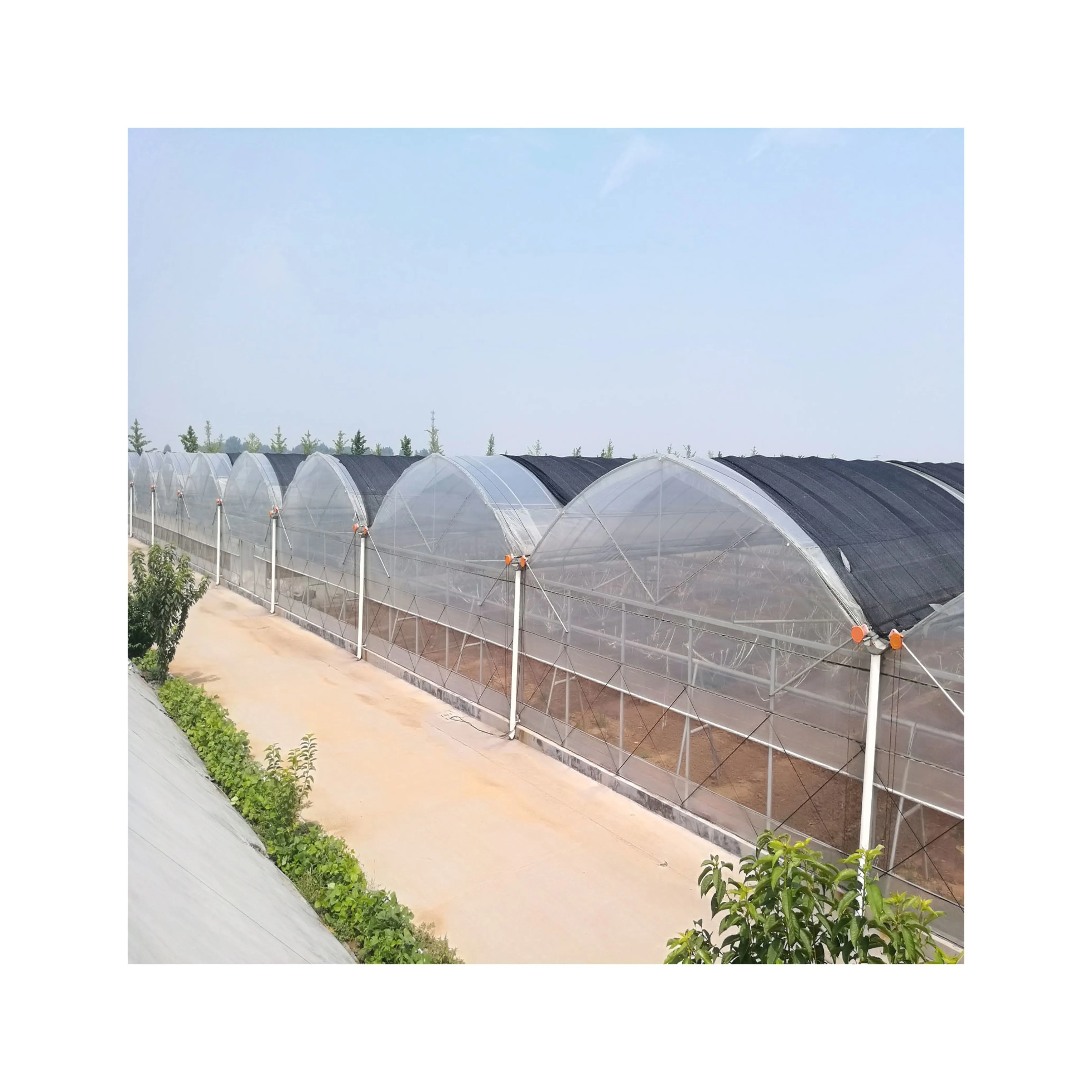 Worth buy multi span polytunnel greenhouse for sale