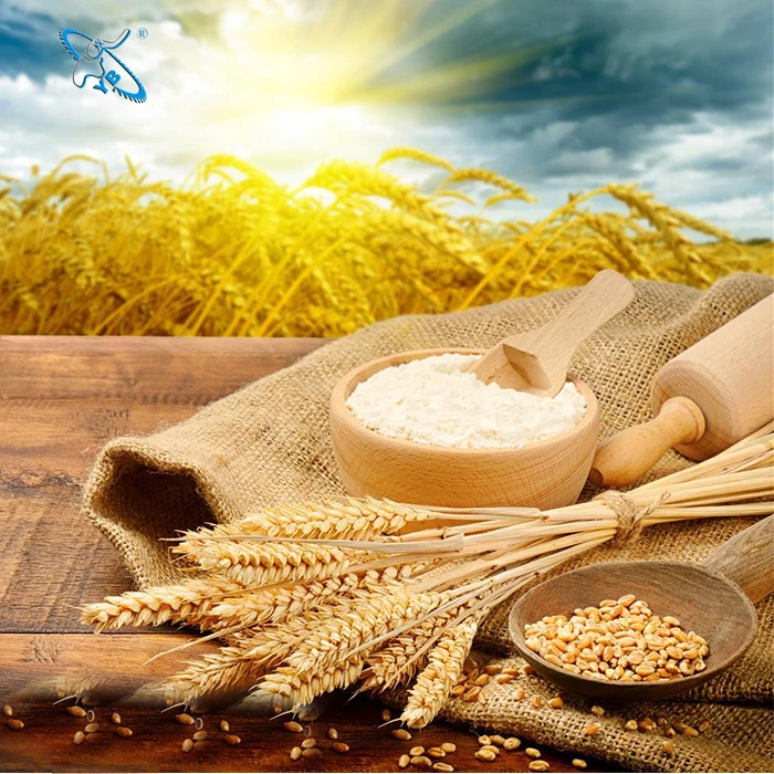 Полностью автоматическая маленькая мельница для муки 6F2240 машина измельчения кукурузы пшеницы