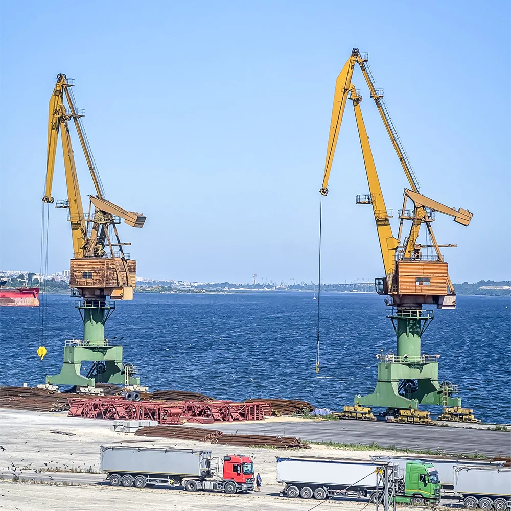 50 Ton Harbour use container port jib luffing dock portal crane on sale