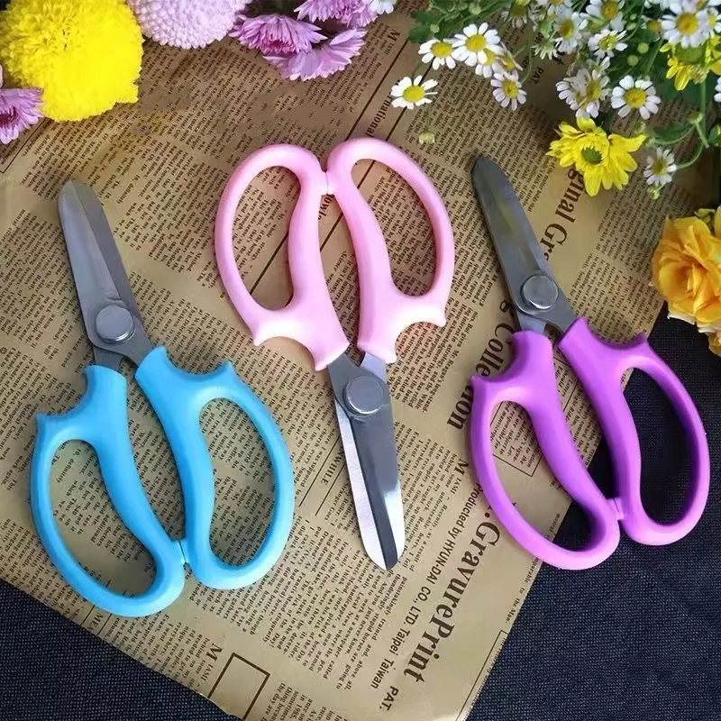 Stainless Steel Gardening Pruning and Fruit Scissors  Grape Picking Tip Scissors Flower Scissors