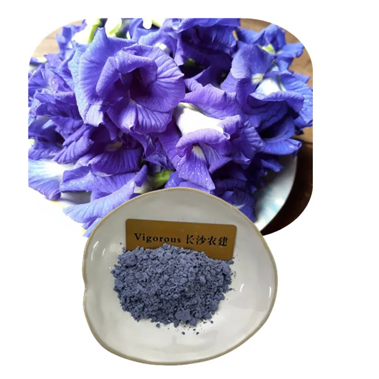 Food grade natural pigment blue bulk raw powder Butterfly Pea Powder for drinks