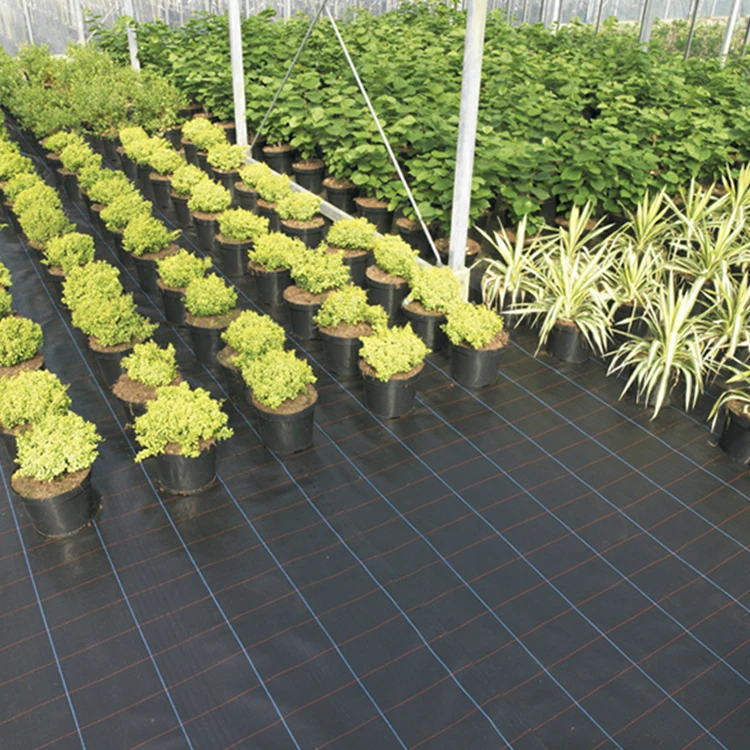 Agricultural Polypropylene Ground Cover Mesh Black For Flower Bed
