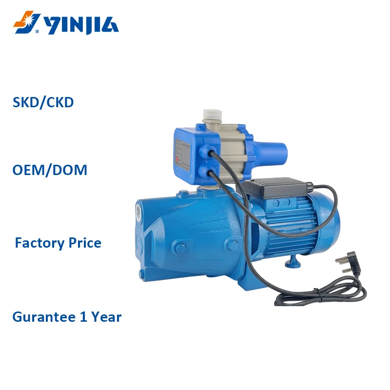 China Professional Pump Manufacturer High Head Automatic Jet Booster Water Pump For High Building