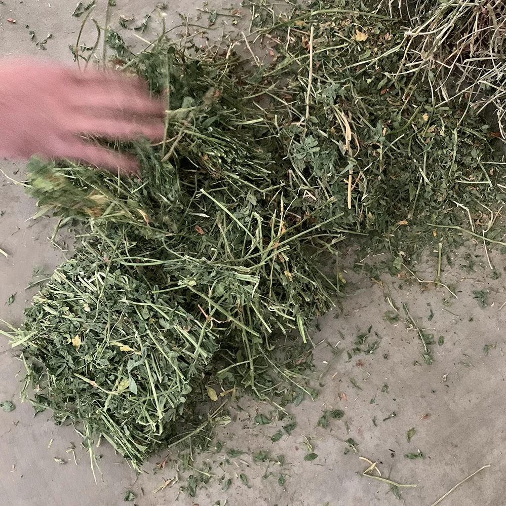  T&H high quality alfalfa