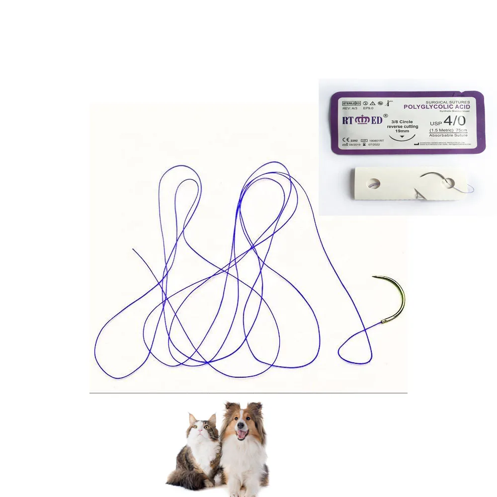 75cm 2 1 0 2-0 3-0 4-0 5-0 6-0 pet vet veterinary absorbable surgical sutures POLYGLACTIN PGLA 910 surgical sutures