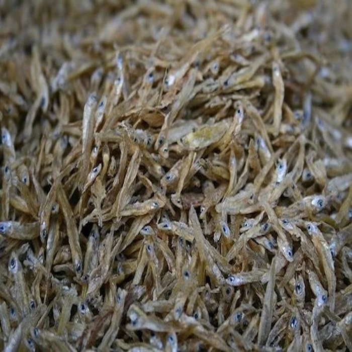 Best Price Dried Salt Anchovy export from Vietnam,Dried Anchovy Driedanchovy Fish fillets,Thailand Origin High Anchovy Fish
