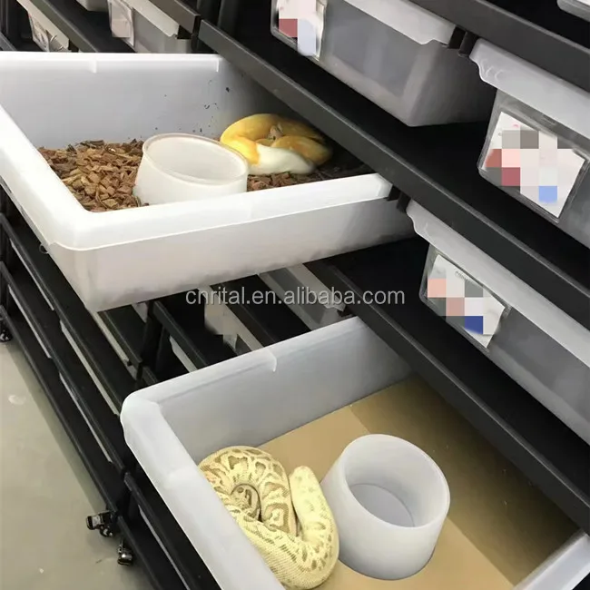 Live Large Heated Reptiles Accessories Snake Rack System Plastic PVC Breeding Box Tubs Snake Rack Cages