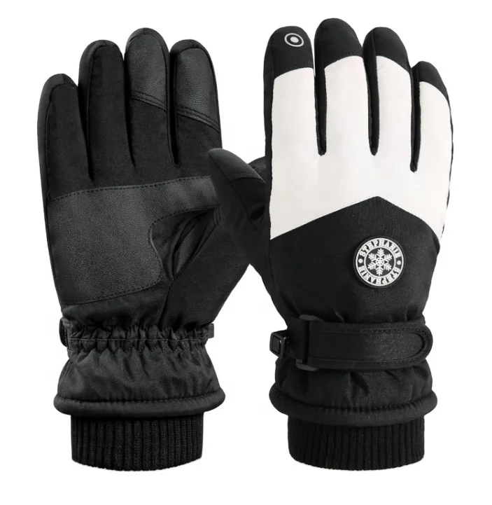Thinsulate Winter Warm Ski Gloves for Men & Women Outdoor Waterproof Breathable Touchscreen Snow Gloves