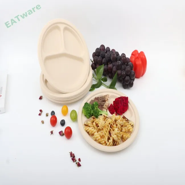 Pizza Plates Carton Box Food Serving Party Dishes for Restaurants Food Packaging Plat Factory Direct Customized 5000 Pcs BPI