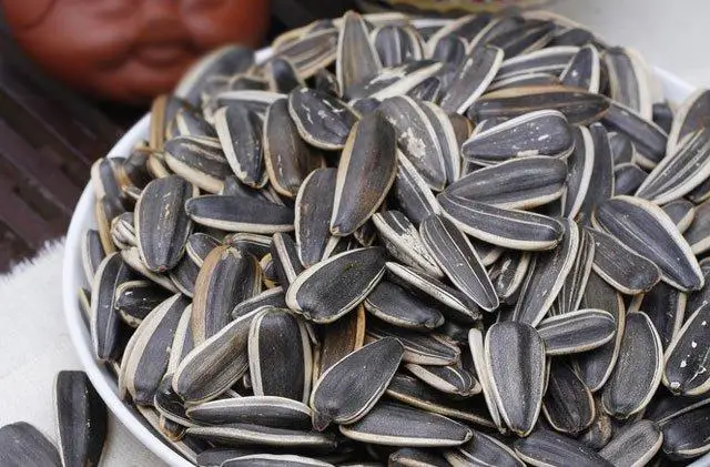 China raw sunflower seeds bulk