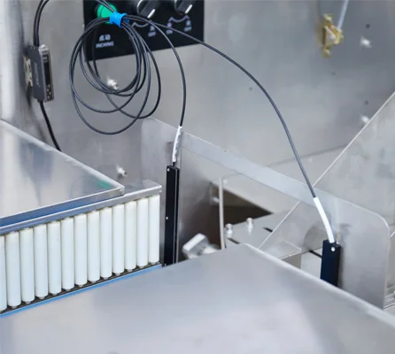 Automatic weighing labeling fruit and Vegetable pillow Packaging Machine