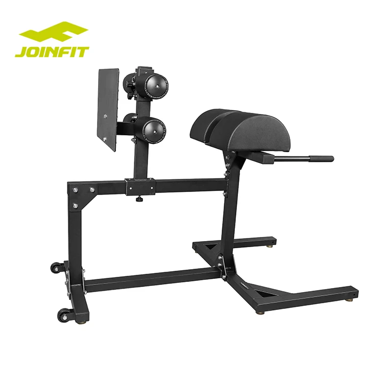 equipment adjustable roman chair