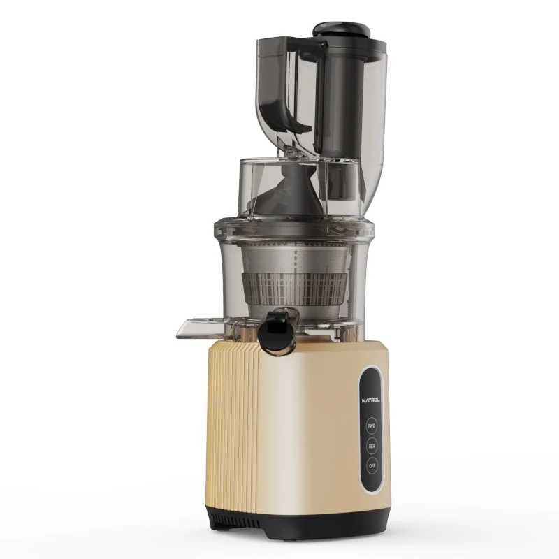 Smart Commercial Electric Masticating Juicer Best Multi-Function Slow Fruit Blender Cold Press Machine by Whole Extractor