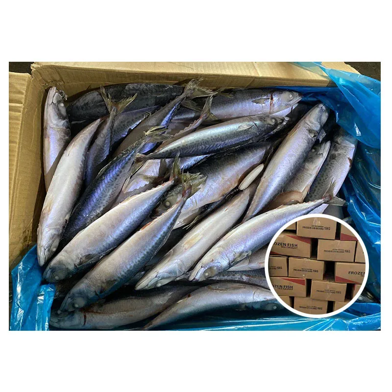 Замороженная картонная скумбрия всех размеров