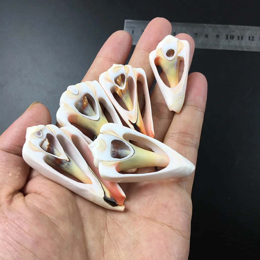 Wholesale temperament design natural seashell slice for lady necklace pendant jewelry