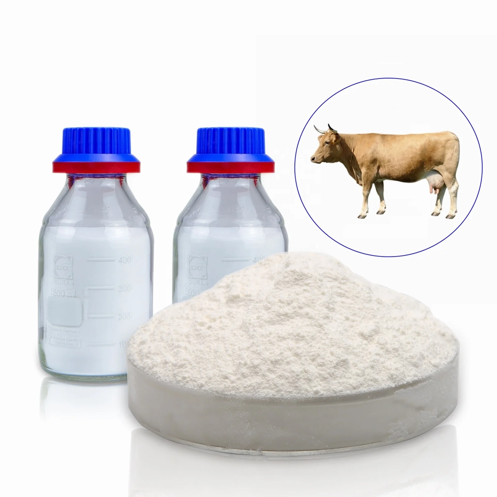 Runxin factory Supply 85%~99% Purity bulk Chondroitin Sulfate powder