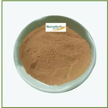 Hot Sale Mint Powder Mentha Piperita Leaf Extract 10:1 Peppermint for Selling