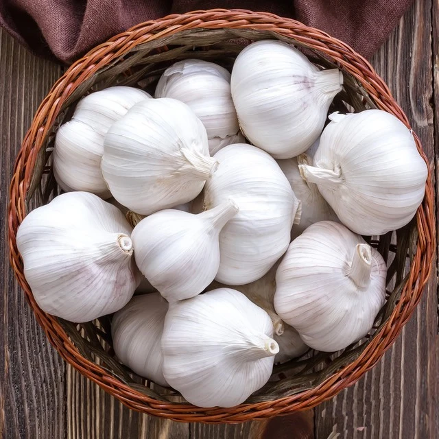 2021 Hot sale new crop  in bulk normal white  fresh garlic bawang merah for wholesale