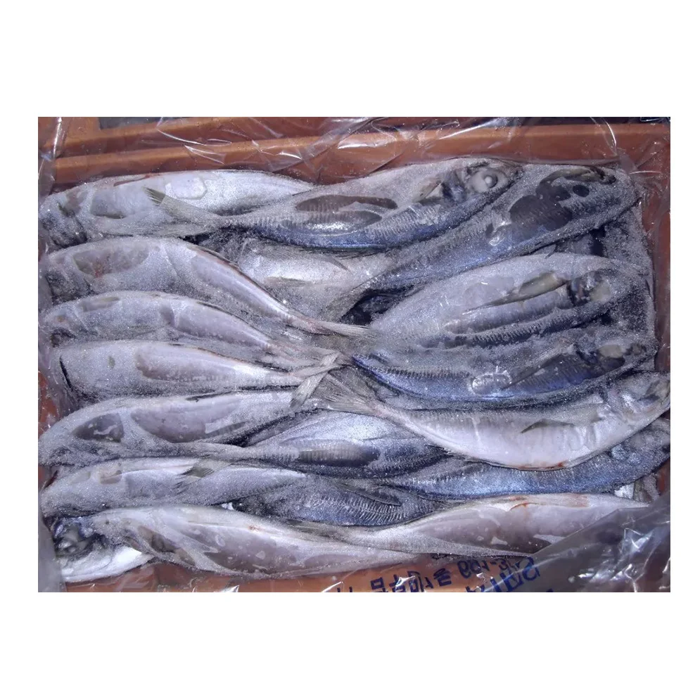 Корейская Высококачественная замороженная Конская скумбрия