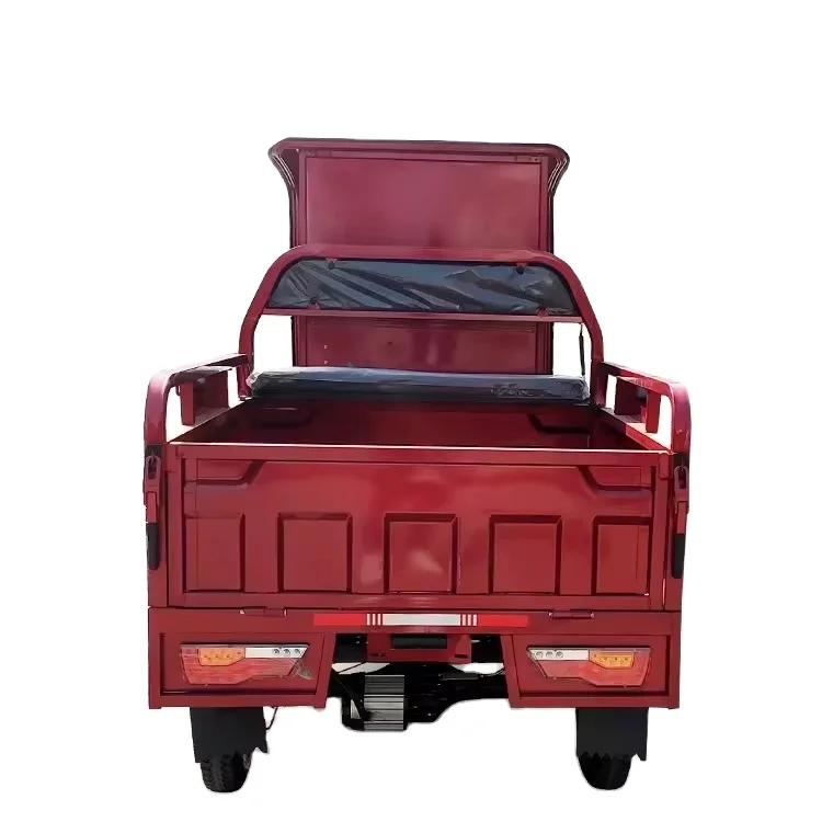 2024 New Wholesale Cargo Tricycle 1000w 1500w 2000w Electric Tricycle Load Capacity 1000 Kg Cargo Etrike for  Sale