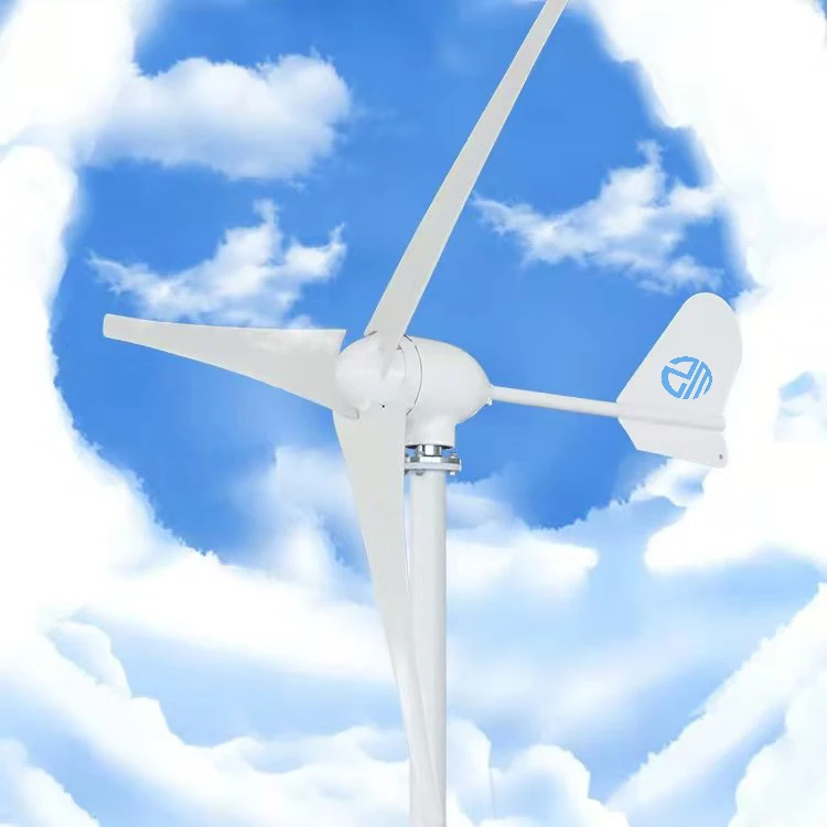 TOP Selling 600w Small Wind Power Generator For Home Use