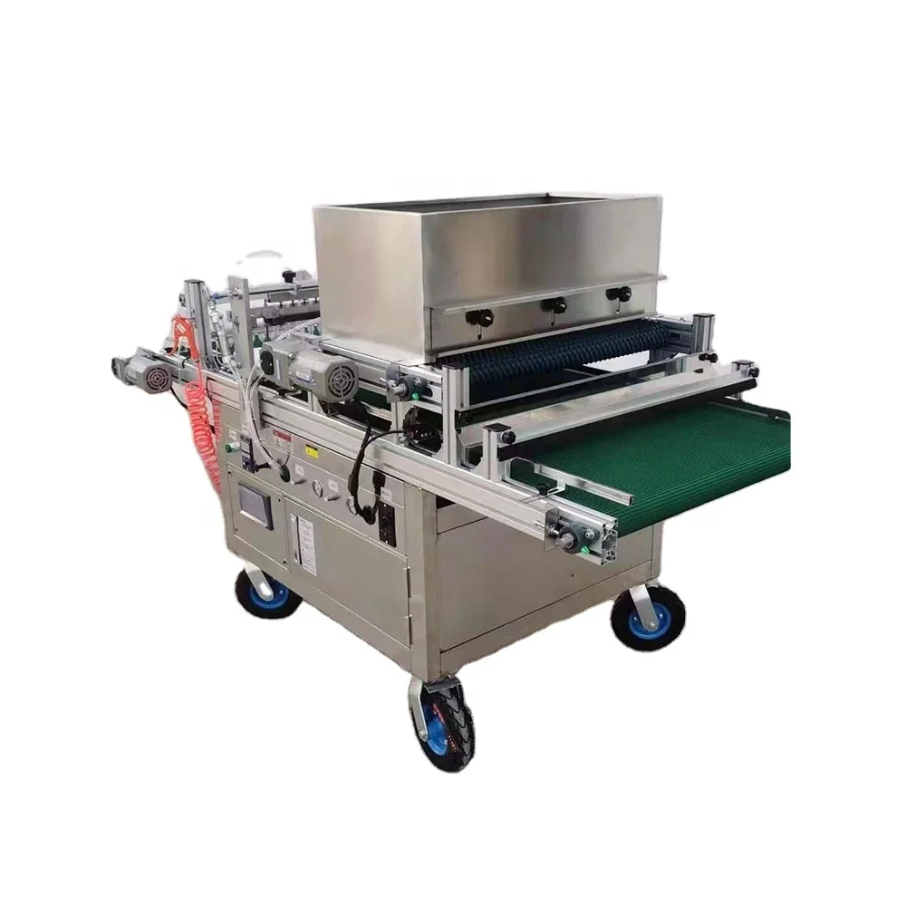 Seed making automat c tray seeding machine factory direct sale low price (1600470217184)