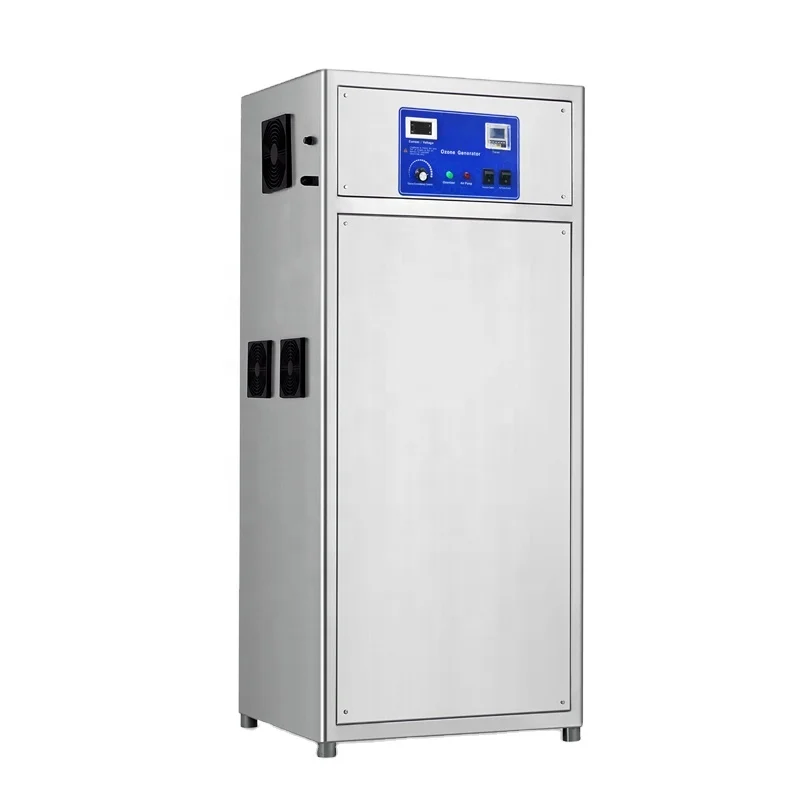 Ozone generator for koi pond water cleaning