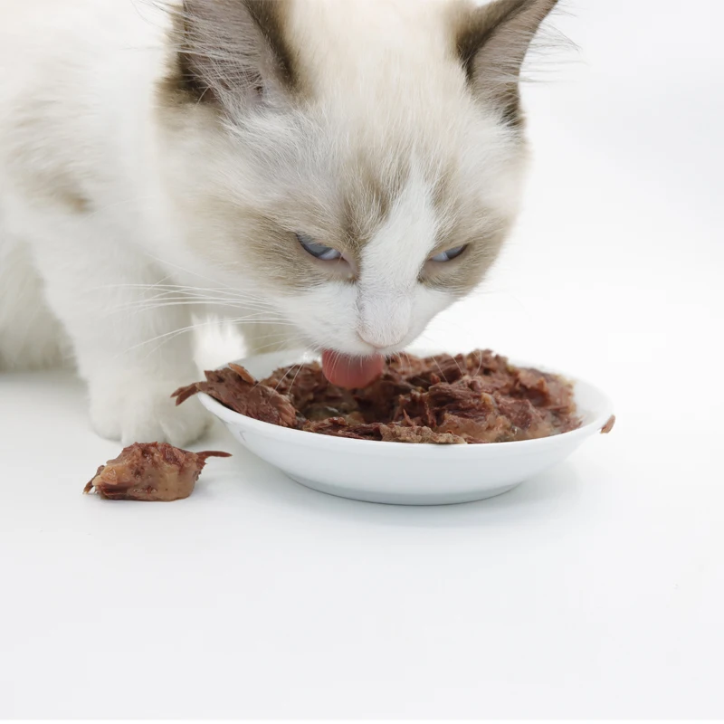 OEM Cat Can Food-высококачественный влажный корм для кошек с витаминами и минералами вкусная закуска