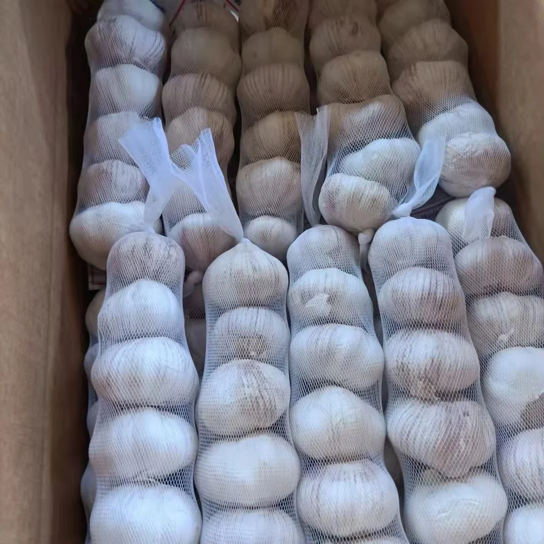 2022 wholesale bulk price Garlic seeds fresh