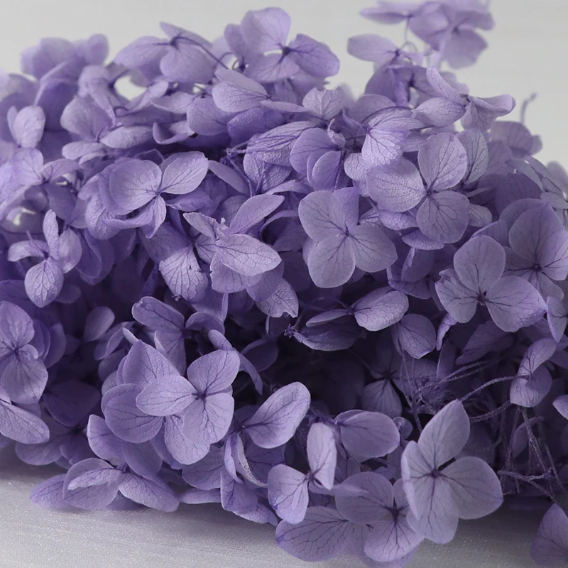 Factory wholesale preserved flower real natural stabilized hydrangeas