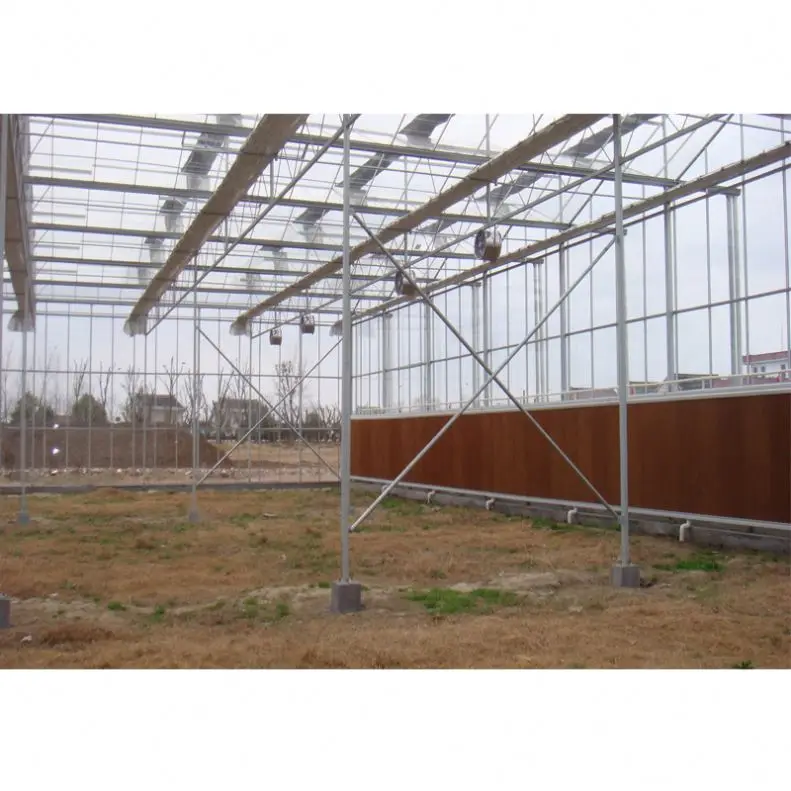 
multi-span glass hydroponic growing systems greenhouse sale 