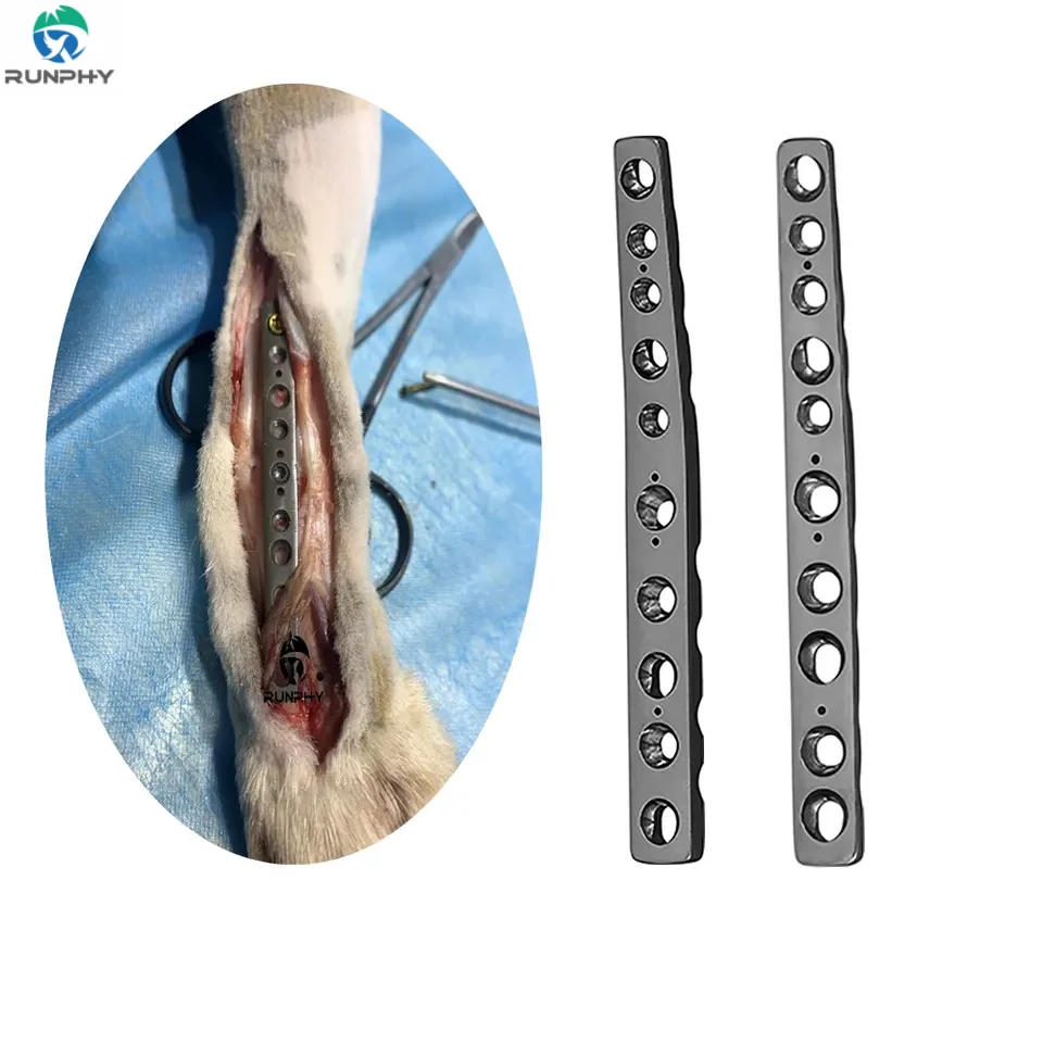 Titanium Vet Locking Plate Small Animal dog cat arthrodesis carpal tarsal Locking Bone Plate