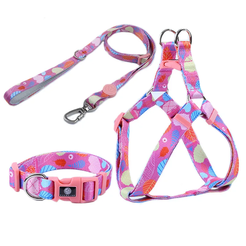 quick release metal buckle dog polyester unique pet leash set design personalize