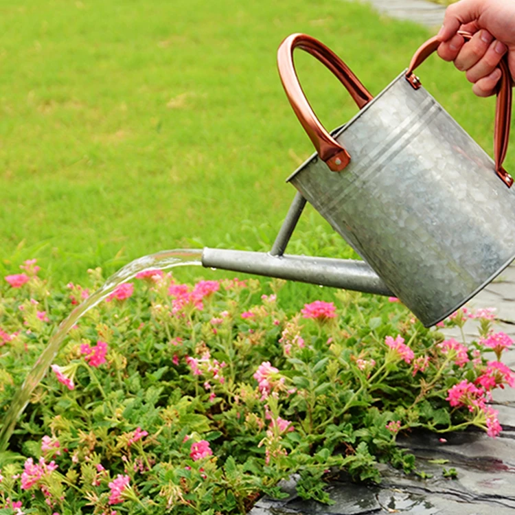 Garden supplies 3.8L water sprinkler head galvanized watering can for garden