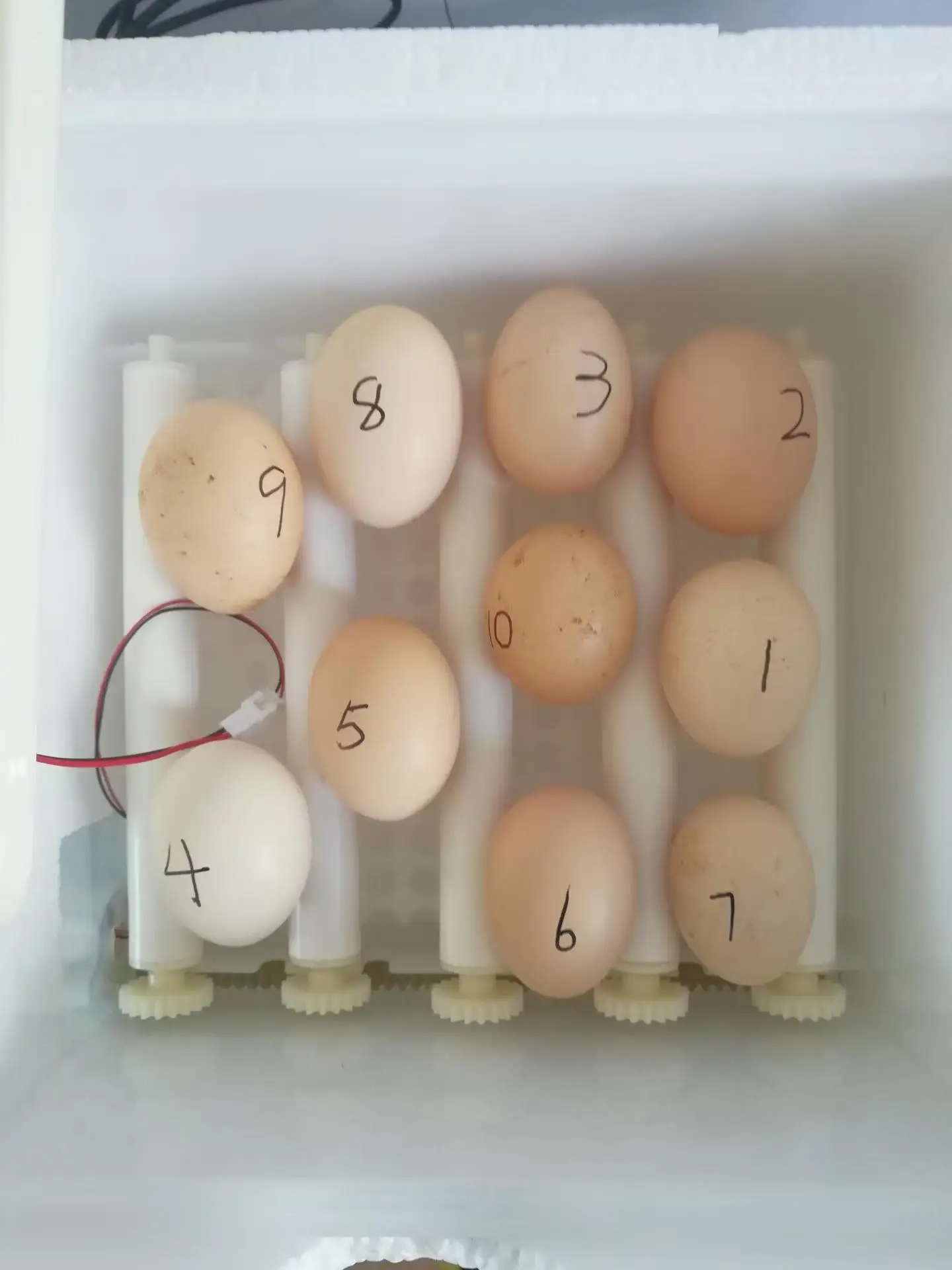 poultry chicken farms Egg hatchery large small mini full automatic 100 200 500 1000 egg incubator for sale