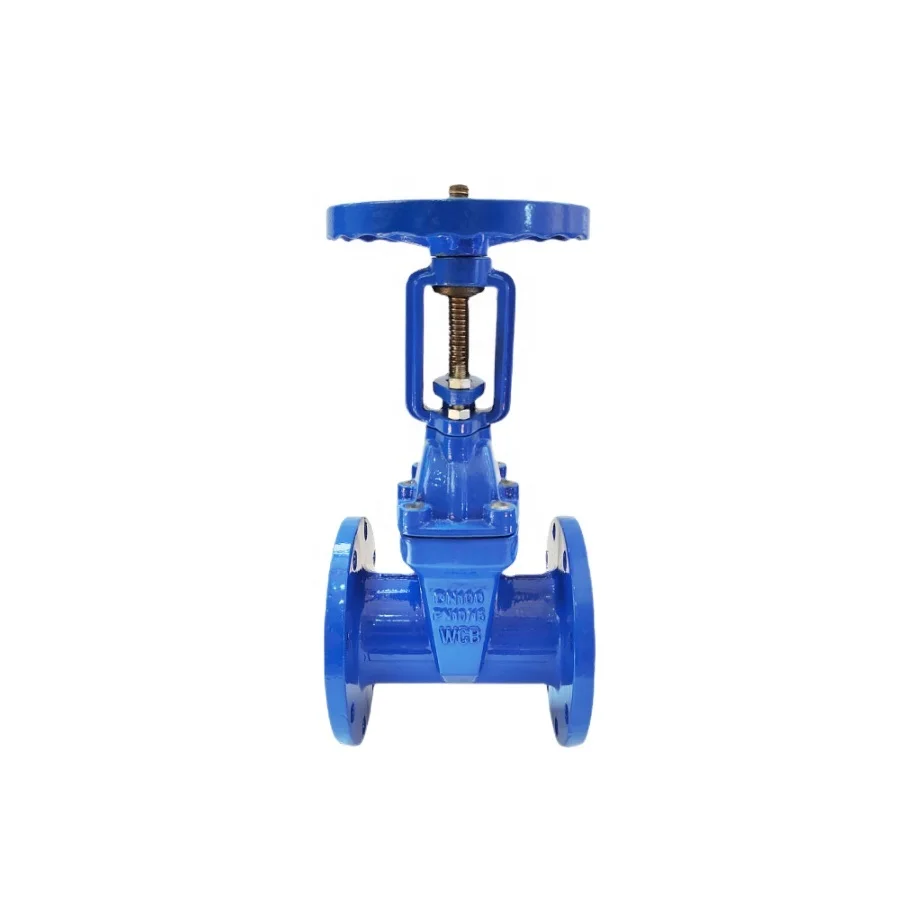 PN10 PN16 DN50 DN100 water seal gate valve rising stem gate valve