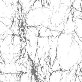 Professional Manufacture Durable artistic black and white Printed Quilts Bedding Bedspreads Luxury Set Sale Quilt Cover