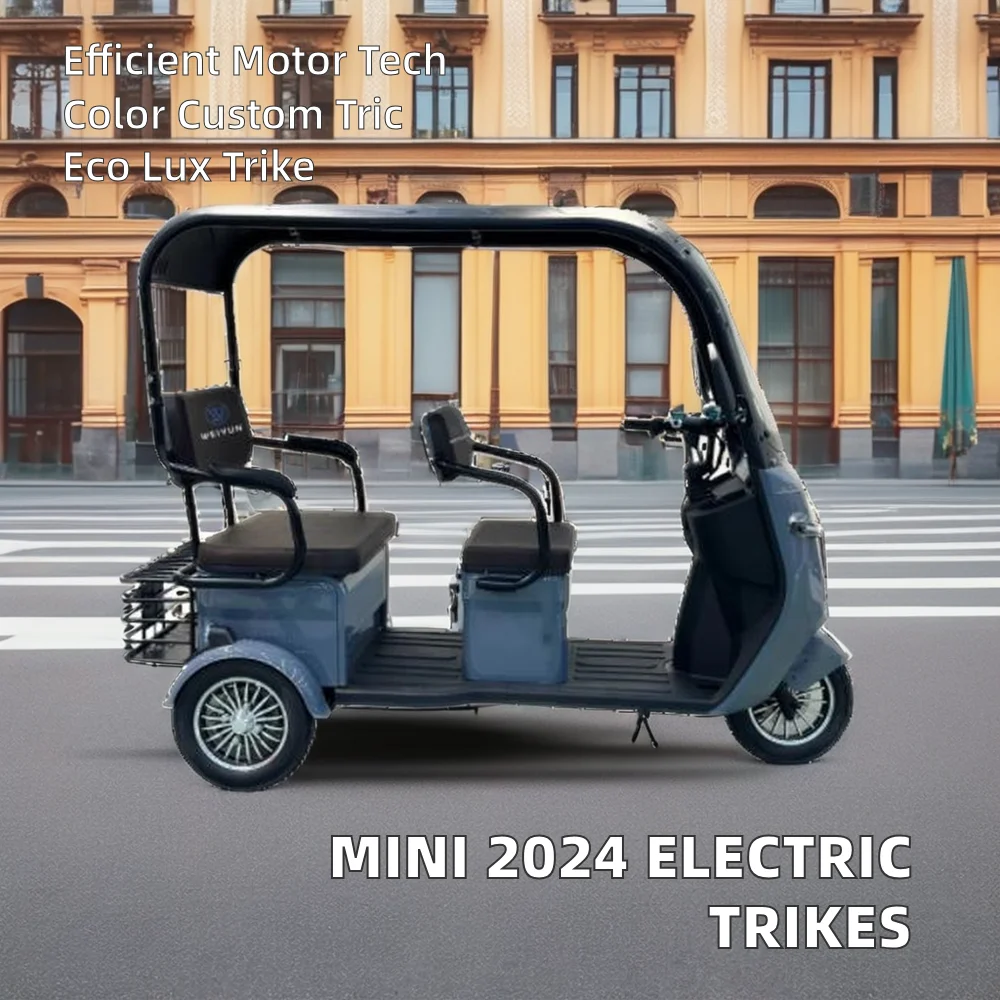 2024 мини-Многофункциональные электрические трициклы популярные пассажирские моторизованные автомобили с открытым кузовом опциями напряжения 60 В и 48