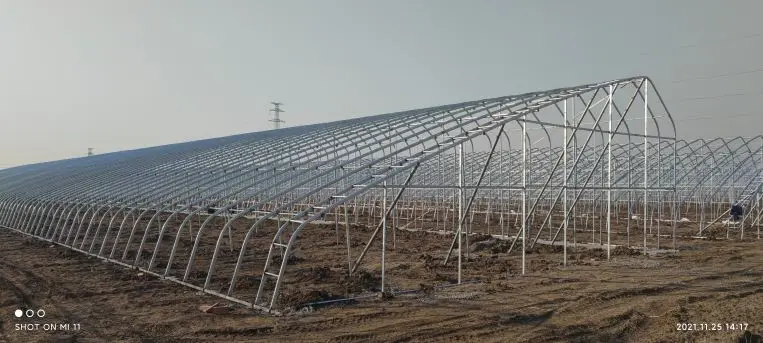 Сельскохозяйственных культур туннель однопролетные плотные гриб теплицы