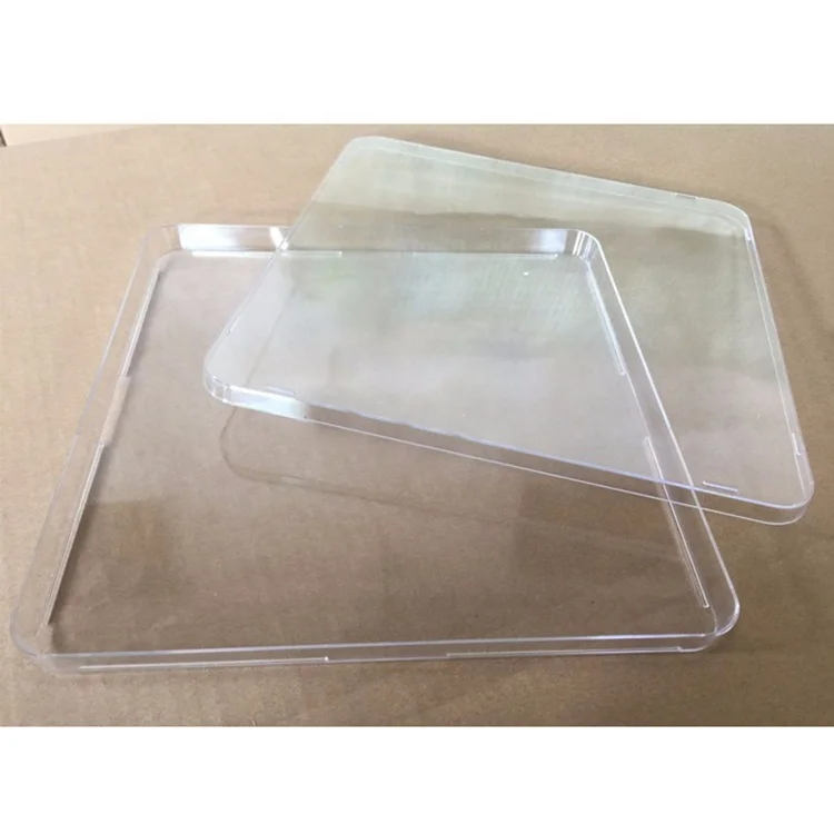 Laboratory Supplies 25cm*25cm Square Petri Dish Cell Culture Plate Petri Dish Organiser