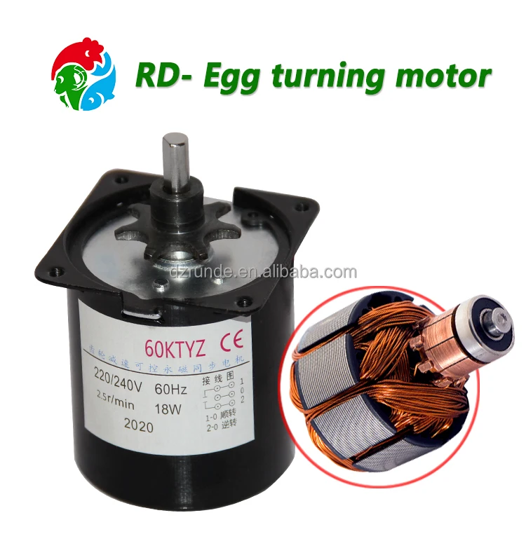 motor (1)