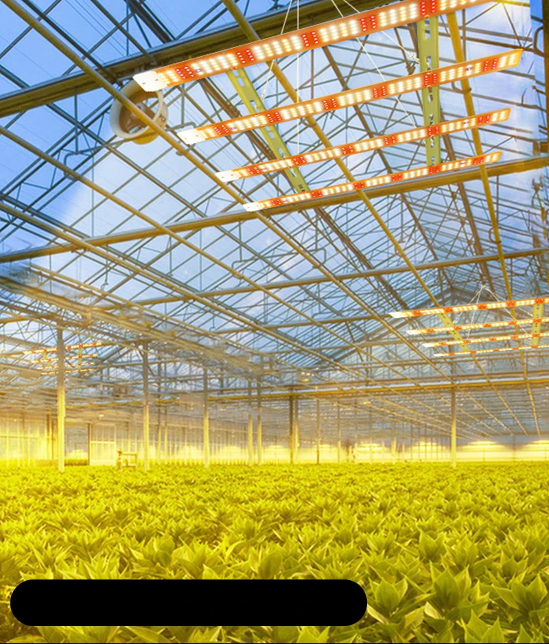 Wholesale Way Dimming Plant Growth Lights Bar Indoor Hydroponic Veg Flower Full Spectrum Led Grow Light