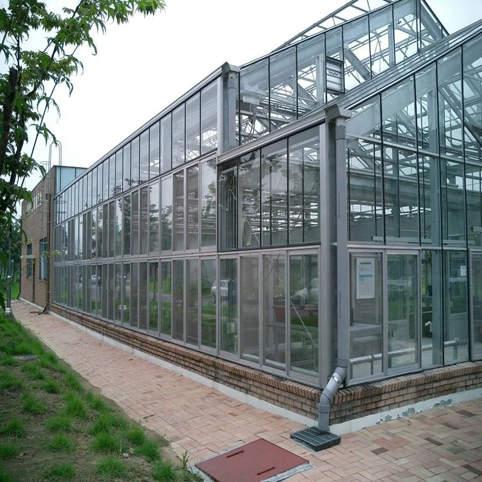  5mm Tempered glass high end agricultural crops and vegetables