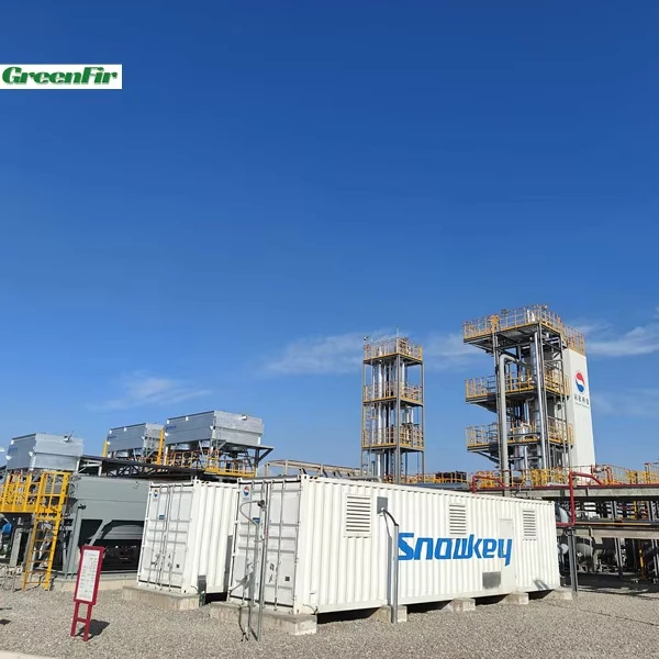 Natural Gas Processing and Liquefaction Generator Gas Recovery Production Equipment Storage ASME LPG NGL Mini LNG Plant